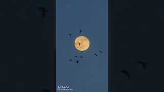 21 июля 2024 г.