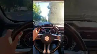 Mustang cruising summer 2022