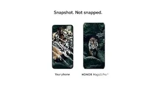 HONOR Magic5 Pro | Snapshot. Not snapped.
