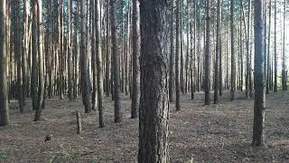 ВЕРЬ! ТРУДИСЬ! РАДУЙ!