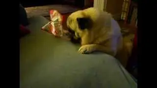 かわいい