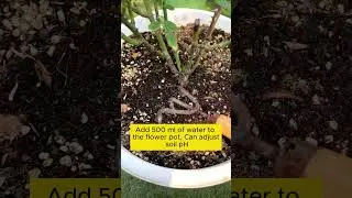 3 tips with baking soda  #gardening #agriculture #farming