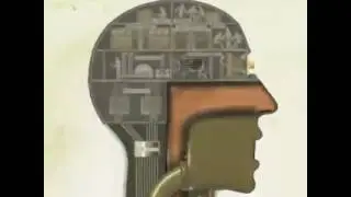 Engineering of our body