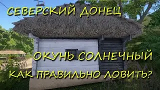 Русская рыбалка 4. рр4. Северский Донец. Как и на что эффективно ловить окуня солнечного?