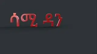 Sami Dan Dimts Alba Sew(ድምፅ አልባ ሰው) Lyrics Video