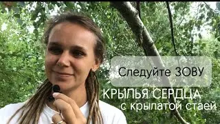 Следуй ЗОВУ или как быть в СОтворчестве