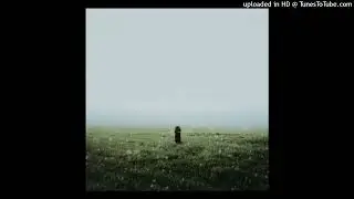 Singular Anomalies - Granular Powder