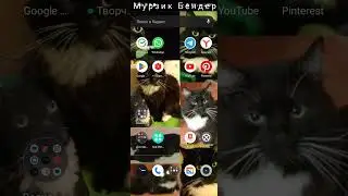 #vpn#впн