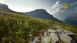Великая Оттепель Америки