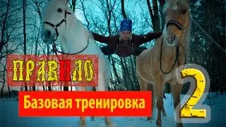 Тренажёр ПравИло Базовая тренировка Часть 2
