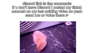 voice actors needed? (10k subs) am gonna cry 😭