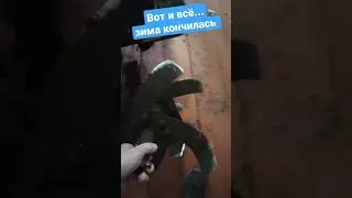 Зима прошла...