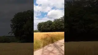 wieder da draußen 🤪👽✌️