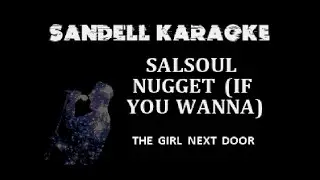 MS Pres. The Girl Next Door - Salsoul Nugget (If You Wanna) [Karaoke]