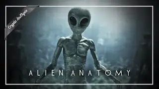 Why do Aliens Look the Way They Do? It's All in the Evolution!