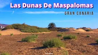 Dunas de Maspalomas - Gran Canaria 2021