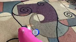 IMG 3888