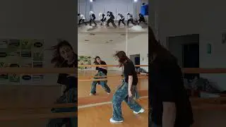 [MIRRORED] Stray Kids(스트레이 키즈) "Chk Chk Boom" Dance Break Ver. Cover #ChkChkBoom