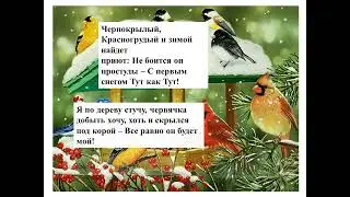 Памятка "Покормите птиц зимой"