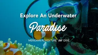A Journey Underwater in Raja Ampat