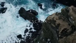 ESCADA MAINLINE FALL / WINTER 2023