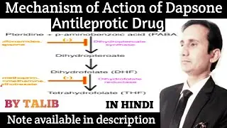 Mechanism of Action of Dapsone (Antileprotic Drugs) In Hindi|Antileprotic Drugs Mechanism of action