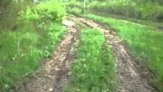 MVI_2411.MOV