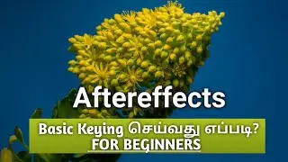 Easy blue Screen Keying in After Effects CC