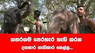 කතරගම පෙරහැරේ හැඩකාරියගේ කතාව