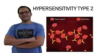 Hypersensitivity type 2