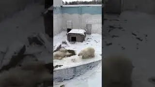 Саня ты в порядке