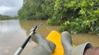 Balade en Kayak (pêche)