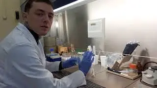 Determination of fungal contamination of sausages. Counting fungal CFU.