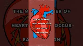 Fun Facts About Human Heart 🫀♥️