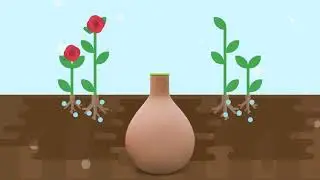 How to water your garden with an Olla