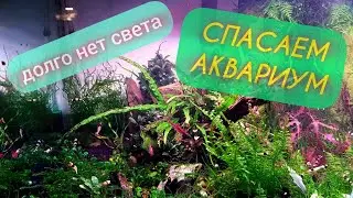 Как спасти аквариум во время отключения электричества