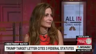 Danya Perry   MSNBC TV News 7 19 2023 All in with Chris Hayes