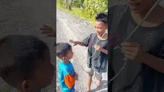 Playing kites 