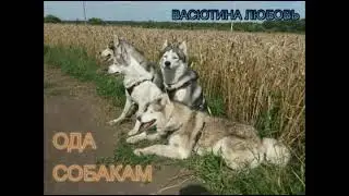 Ода Собакам. Читает автор.