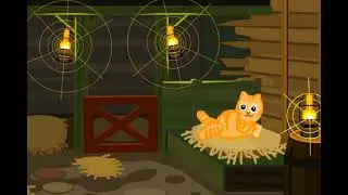 Игривый Котёнок