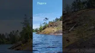 Прекрасное Ладожское озеро #ладога