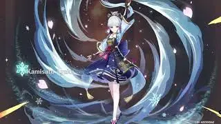 Kamisato Ayaka Wish Genshin Impact