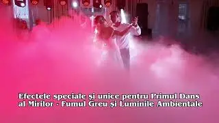 Formația Sonor din Chișinău +37369170510
