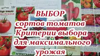 Как правильно выбирать сорта (гибриды) томатов, которые  в ваших условиях дадут максимальный урожай