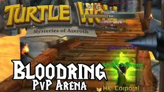 Let him cook | Turtle WoW PvP Druid Bloodring Arena | Appletrey 002