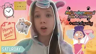 Мой продуктивный день в суботу + Dog vlog