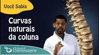 Você Sabia - que a coluna vertebral tem uma curvatura natural?