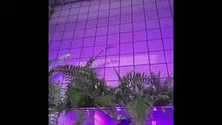 [FREE] Playboi Carti x Pierre Bourne Type Beat - 