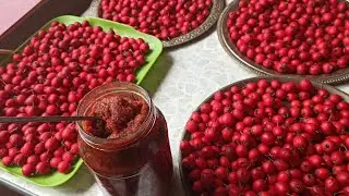 #БОЯРЫШНИК