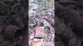 #карелия